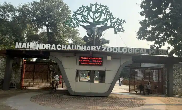 Chhatbir Zoo Zirakpur : Contact Number, Ticket Price, Timing